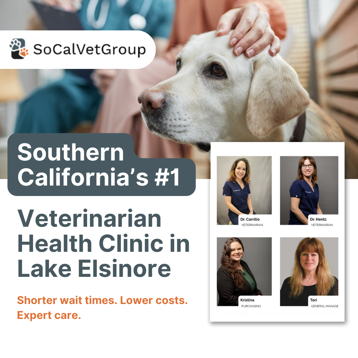 Southern California Veterinary Group Veterinarian ad creative