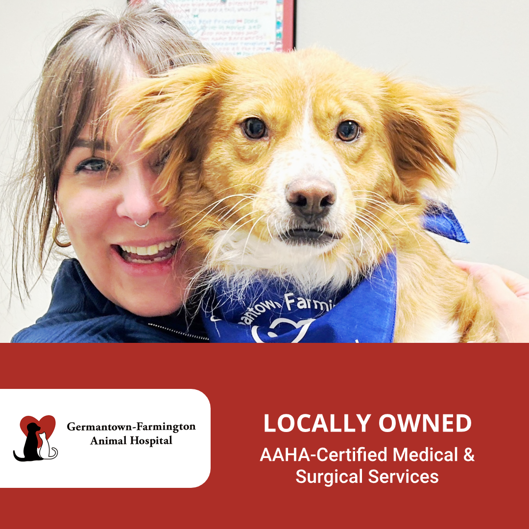 Germantown Farmington Animal Hospital Veterinarian ad creative
