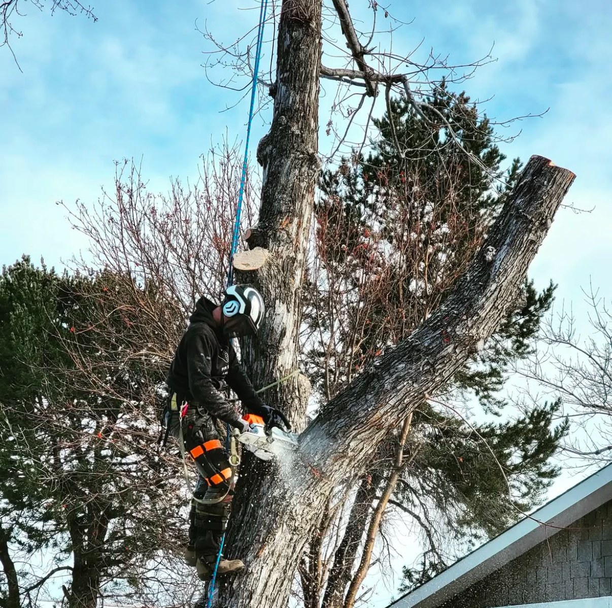 Fir Sure Arbor Pro Tree Service ad creative