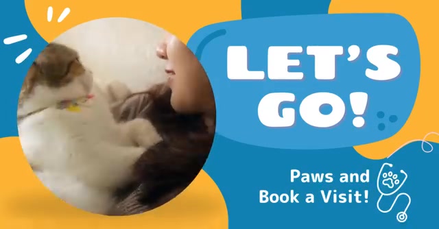 Brunswick Forest Veterinary Hospital Veterinarian ad creative