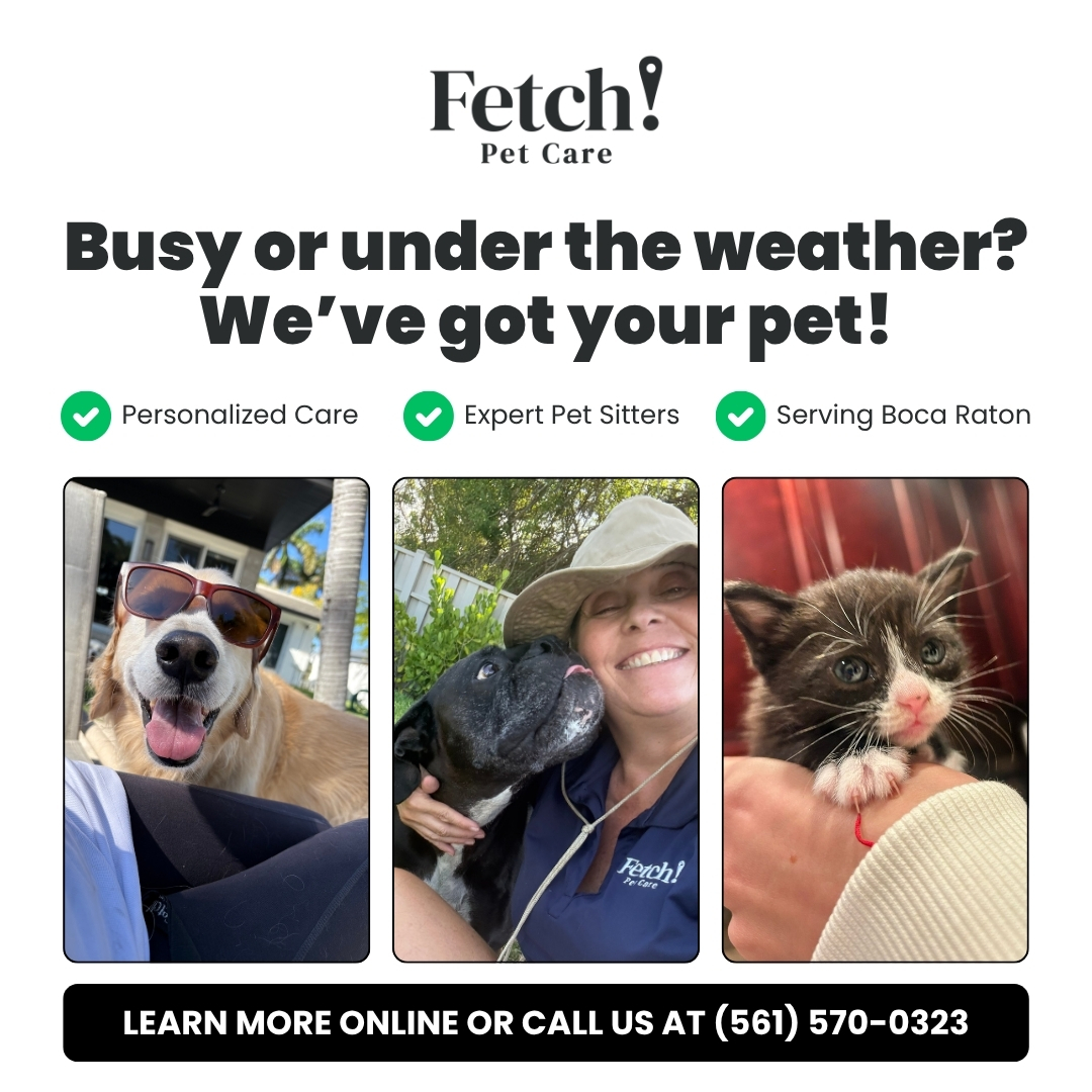 Reliable In-Home Pet Sitting & Dog Walking