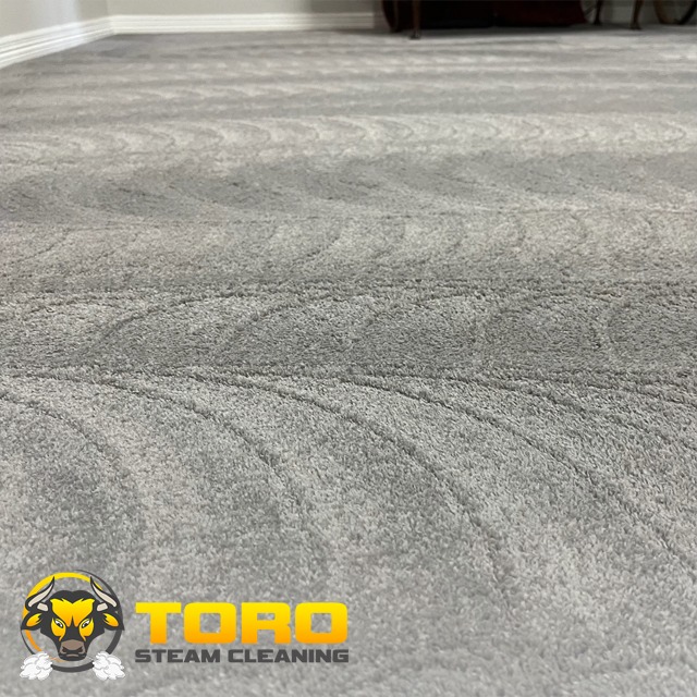 Toro Steam Cleaning Carpet Cleaning ad creative