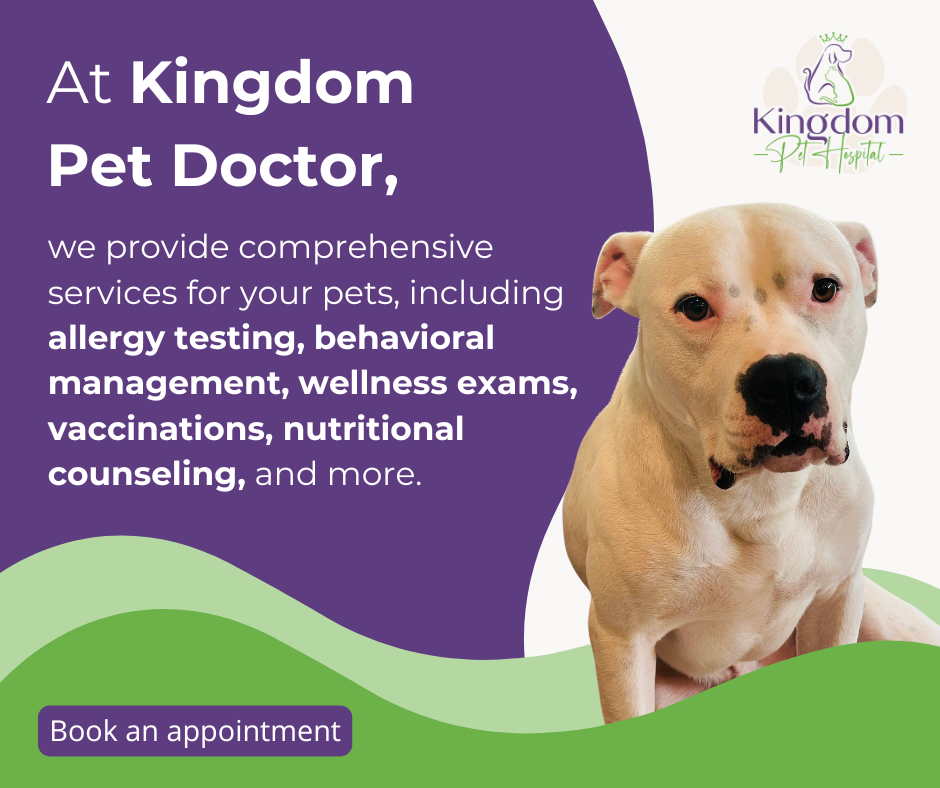 Book an Appointment: Hospital and House Calls