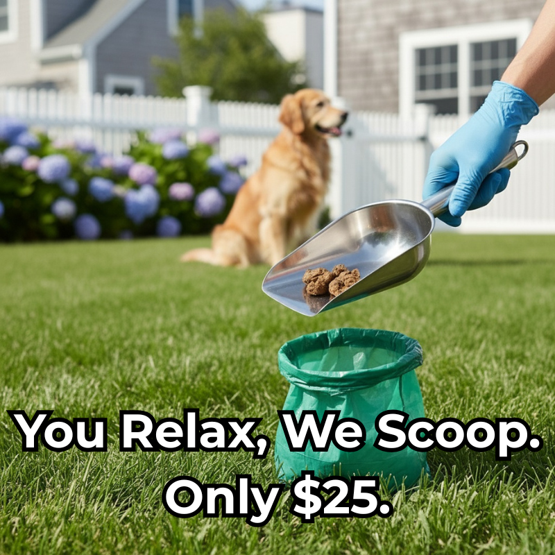 $25 Scooping! You Relax, We Scoop.