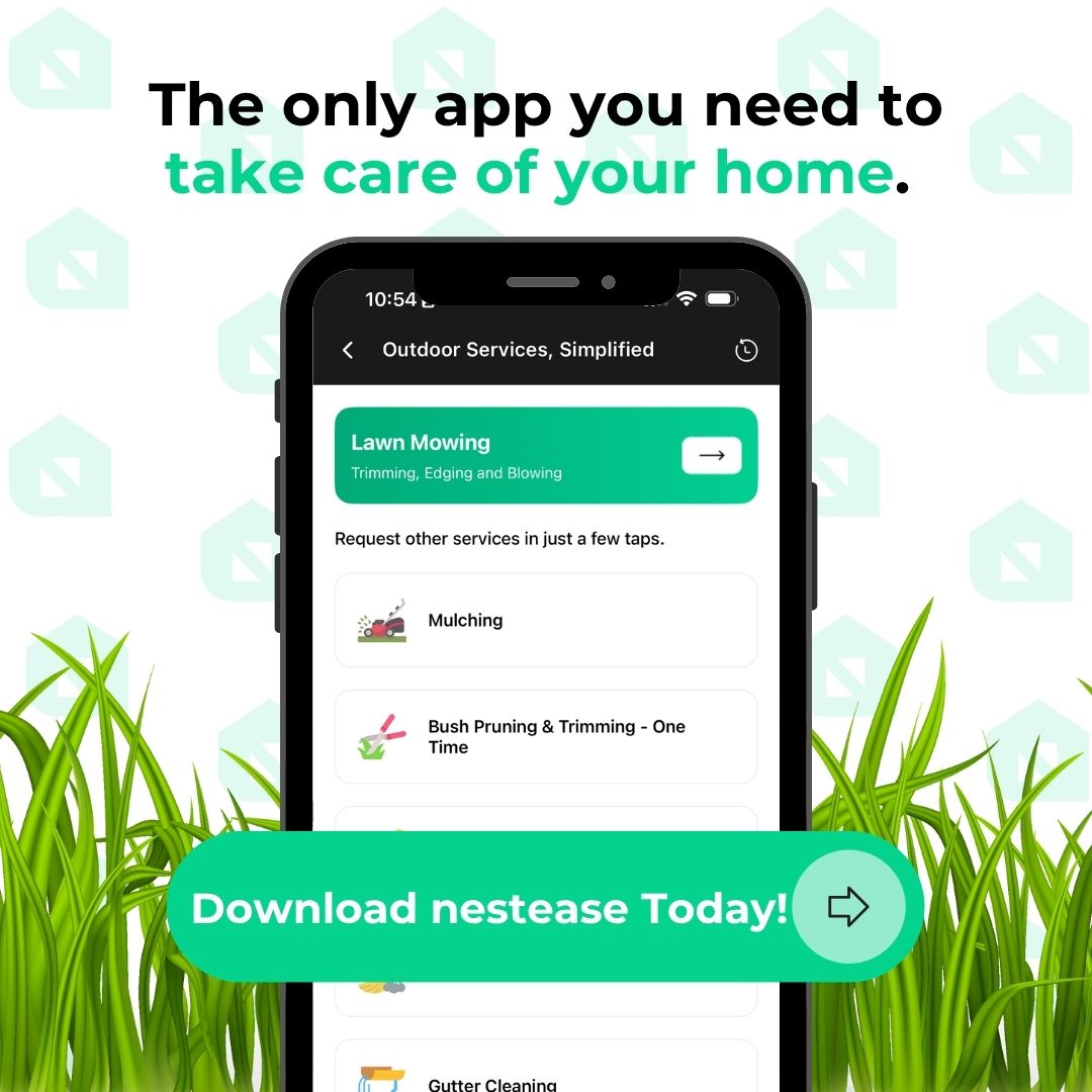 Simple, Flexible, & Top-Notch