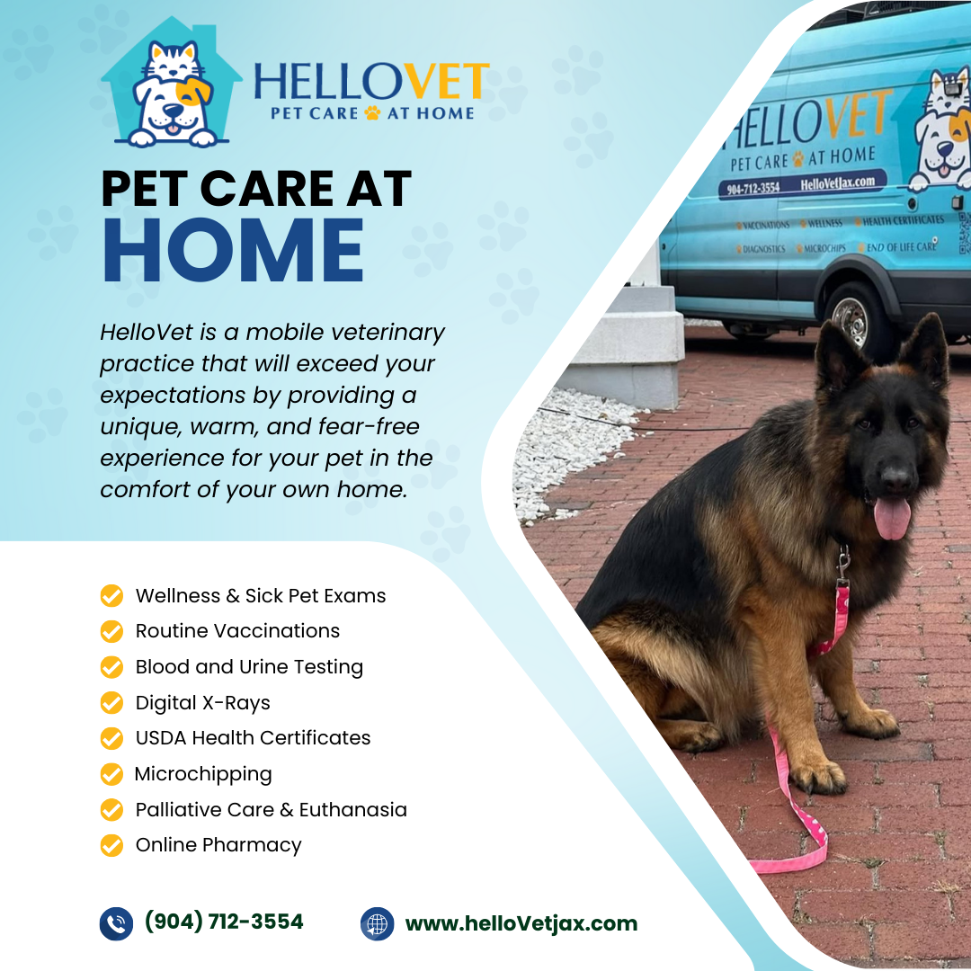 Pet Care at Home