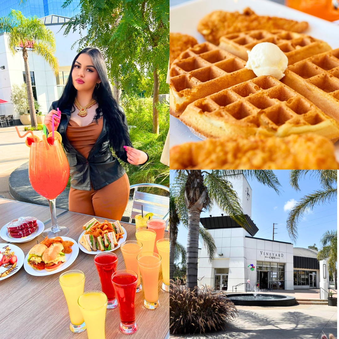 Vineyardcafe Restaurant ad creative