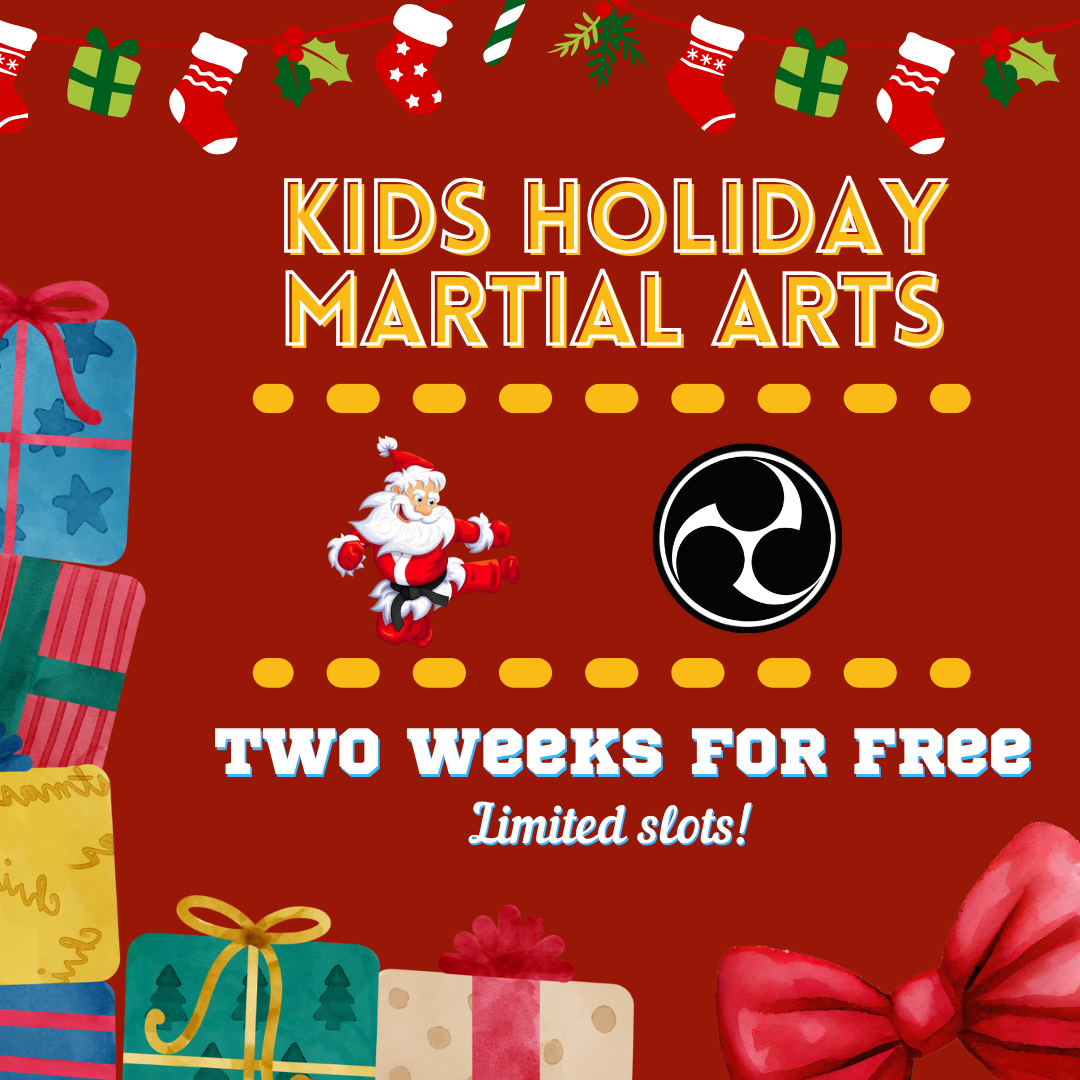 Traditional Okinawan Karate of East Fishkill Martial Arts ad creative