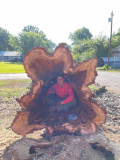 Osborn Tree Service LLC