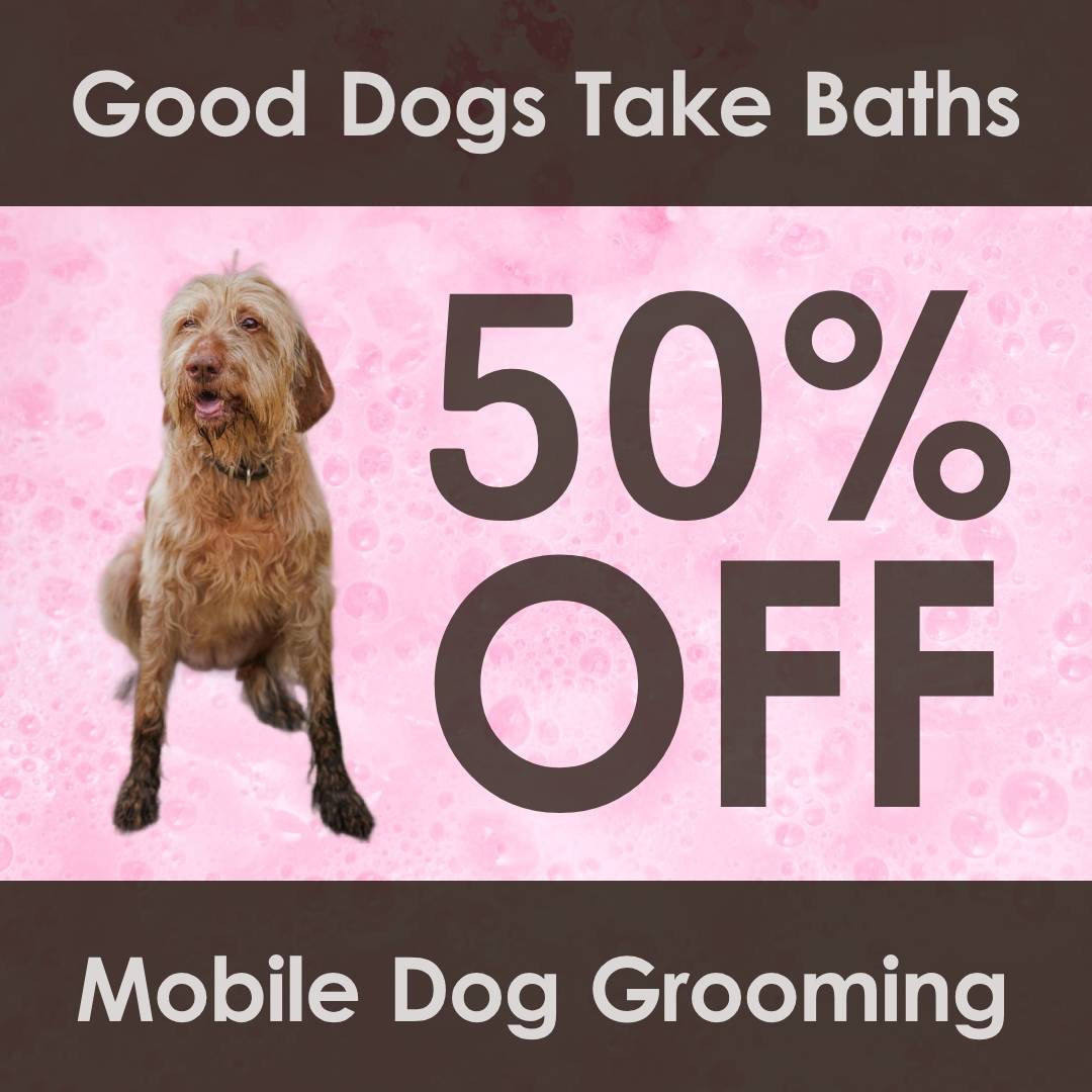 50% Off Mobile Dog Grooming (book online)