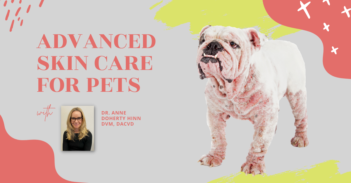 Serving Raleigh & Surrounding Areas