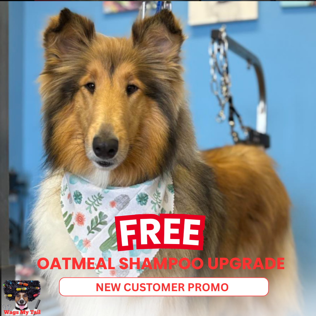 Tap Here for Your Free Upgrade 👉