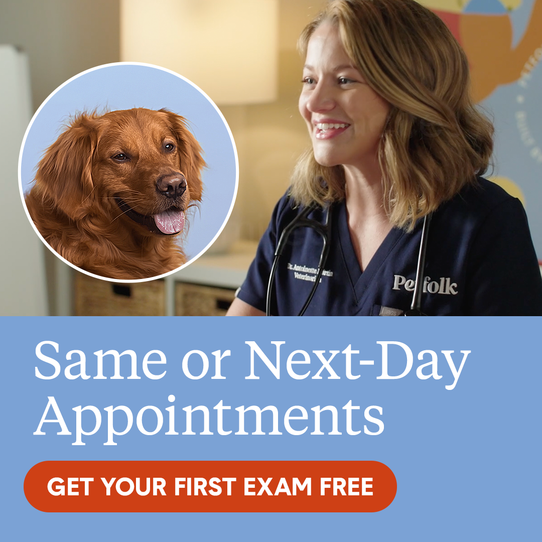 FREE Wellness Exam For First Time Visits!