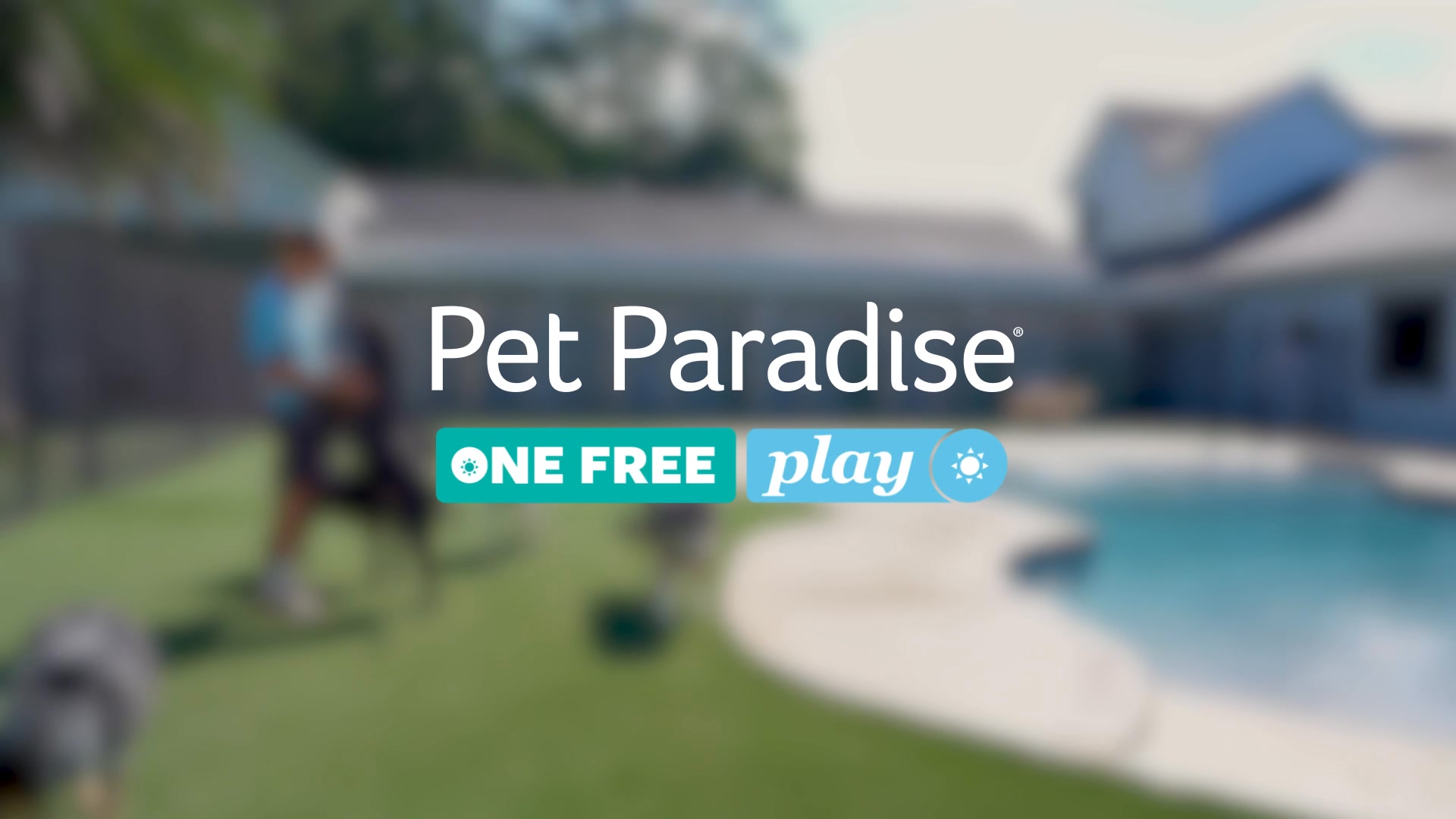 Get a Paw-sitively Cozy Stay or Day of Play 🐾