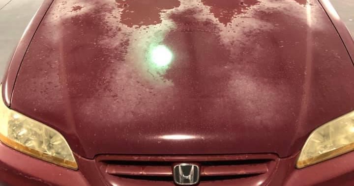 Express Auto Body and paint Auto Body Shop ad creative