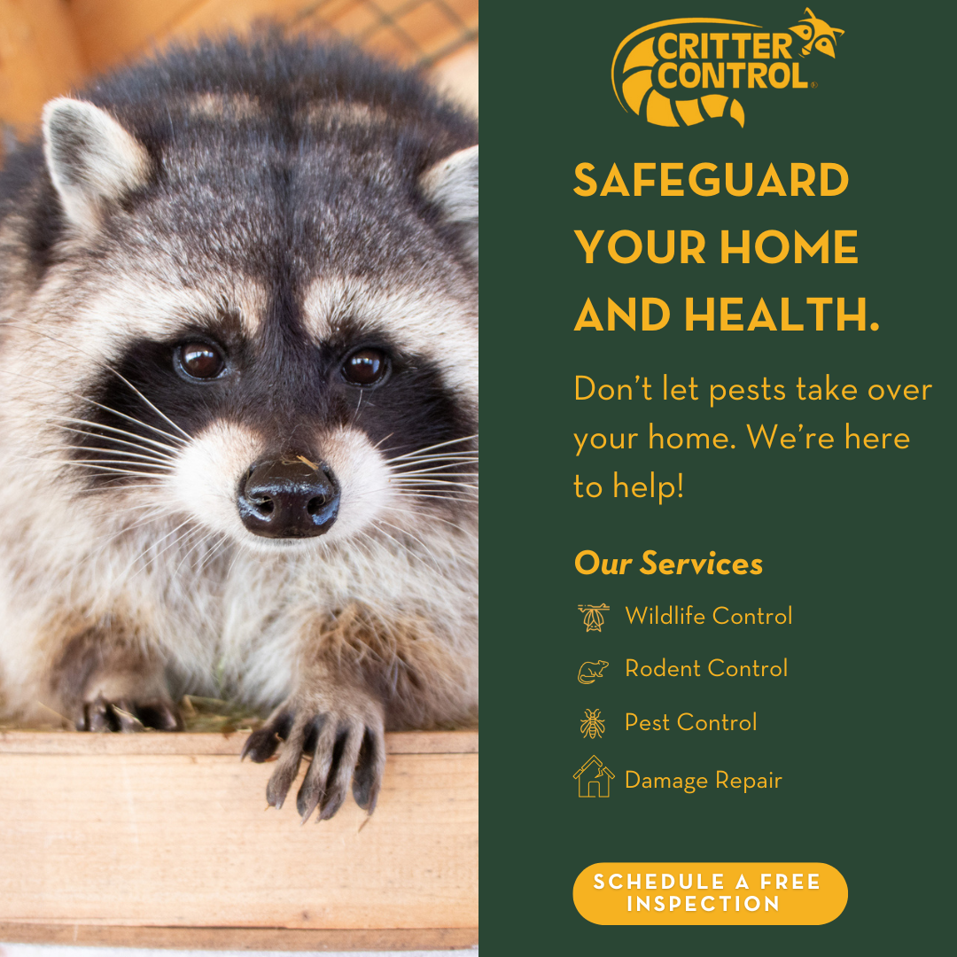Trusted Wildlife Removal