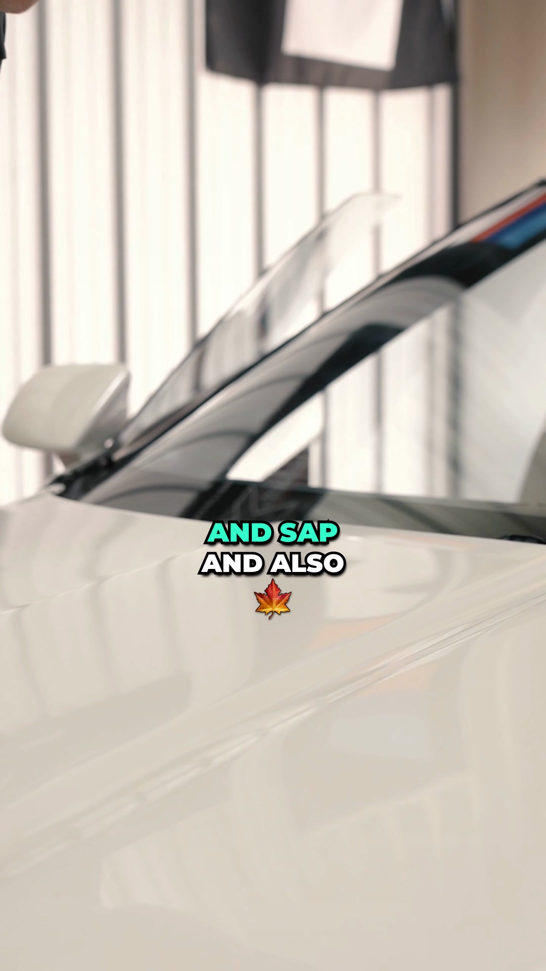 💎 50% OFF CERAMIC COATING — TAP TO BOOK! 🚗✨