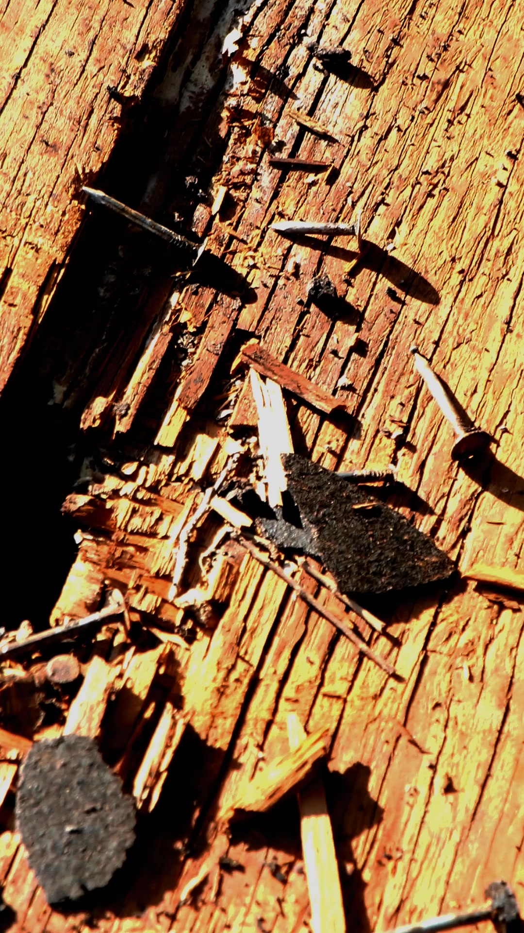 Homerun Roofing & Construction Roofing ad creative