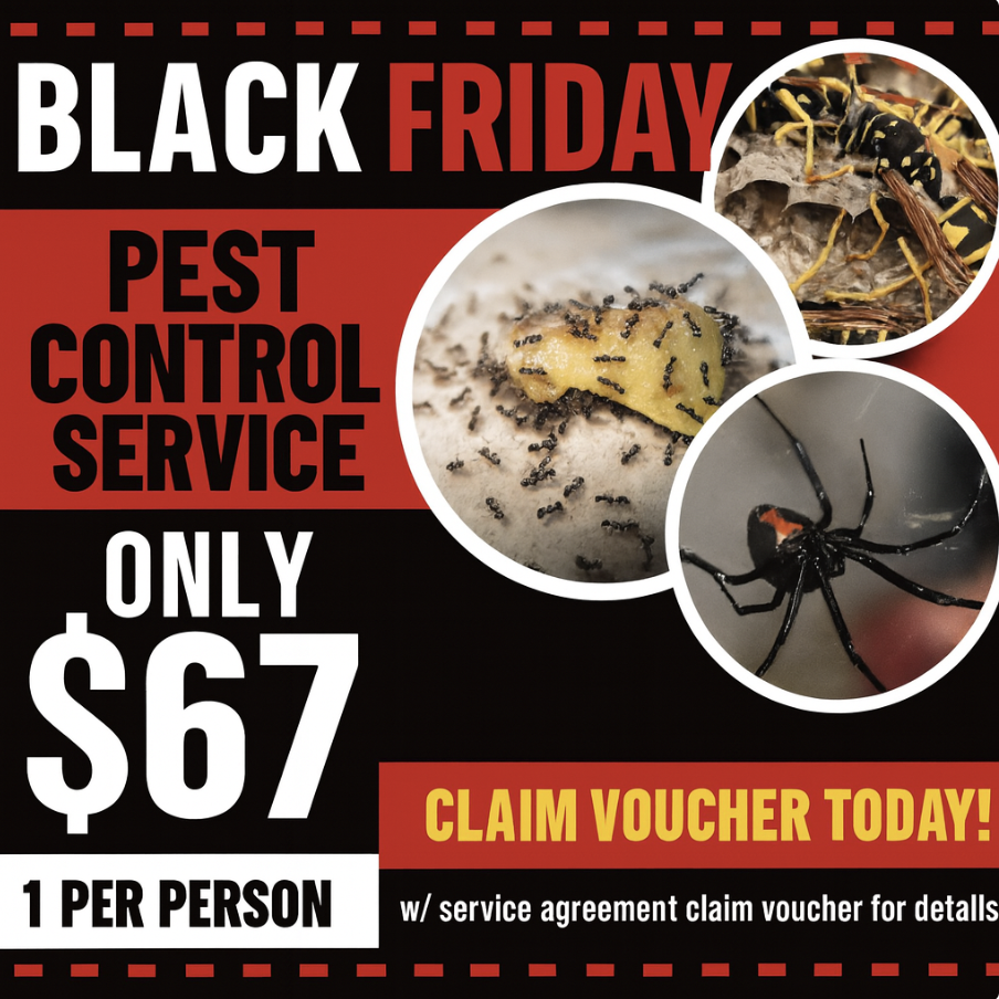 Pest Control Service! ONLY $67! 🚩Cape Coral & Fort Myers