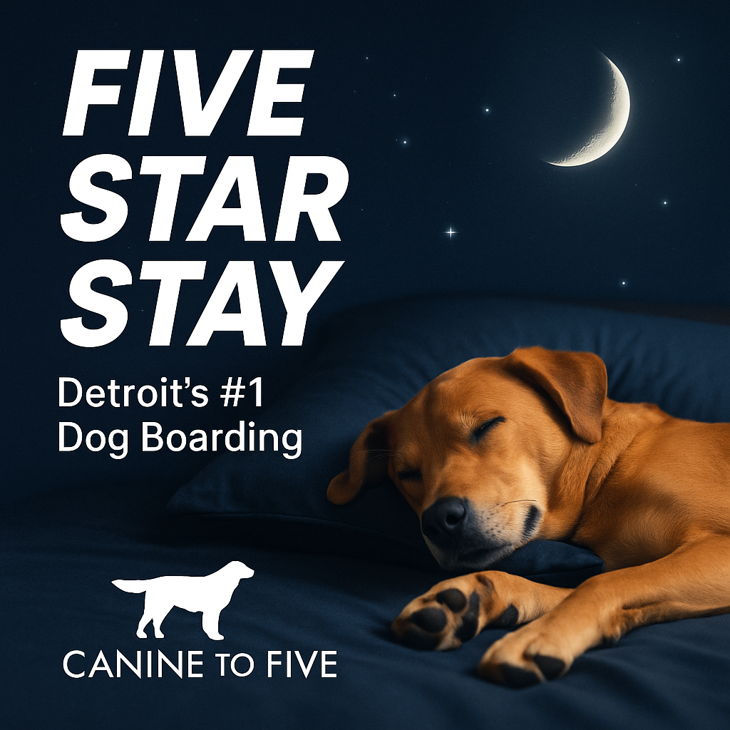 Detroit's #1 Boarding Facility