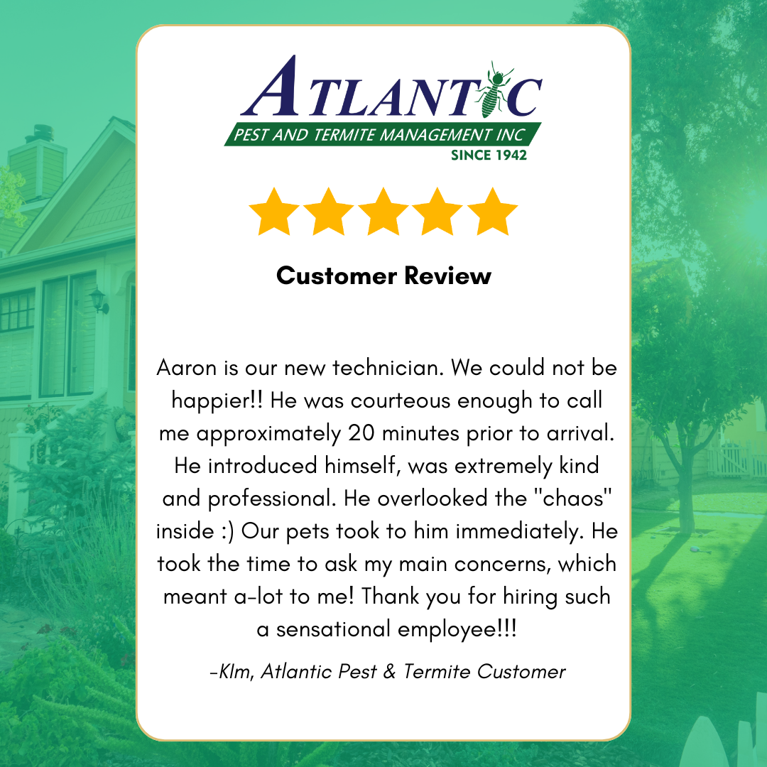 Atlantic Pest and Termite Management Inc.