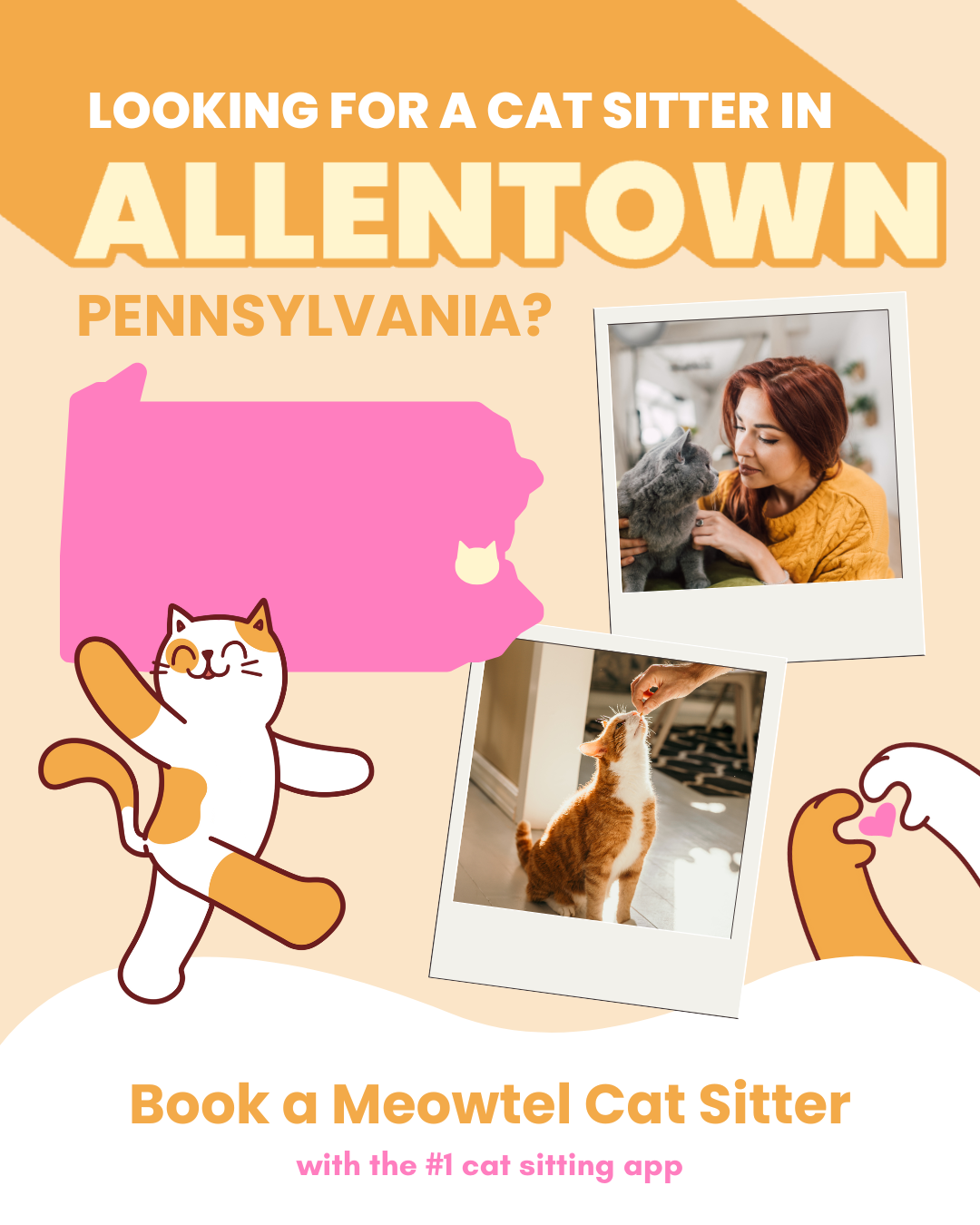 Meowtel.com - Book a Trusted Cat Sitter Pet Sitting ad creative