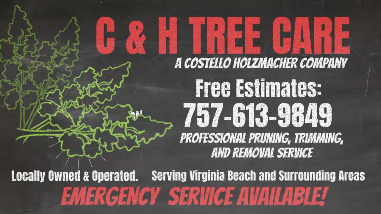 Best Option For Your Trees! C & H Tree Care Free Estimates: 757-613-9849 Virginia Beach, VA