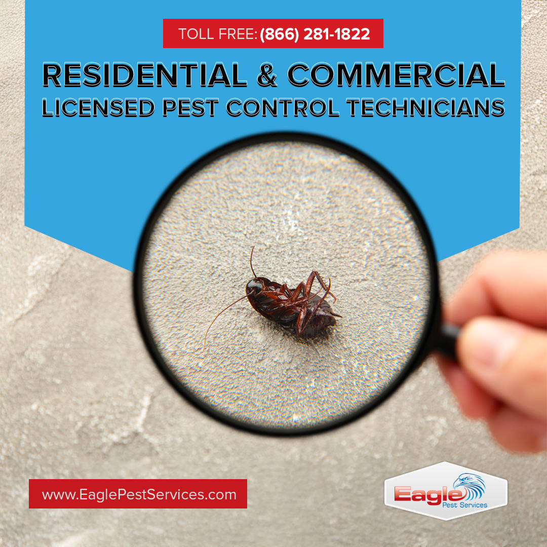Schedule Free Inspection - Eagle Pest Control