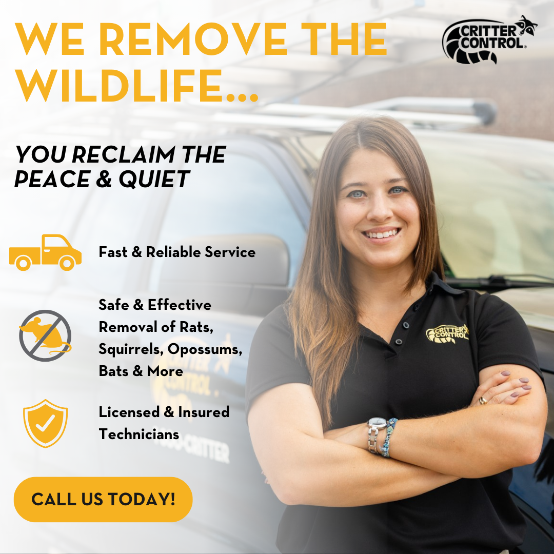 Trusted Wildlife Removal