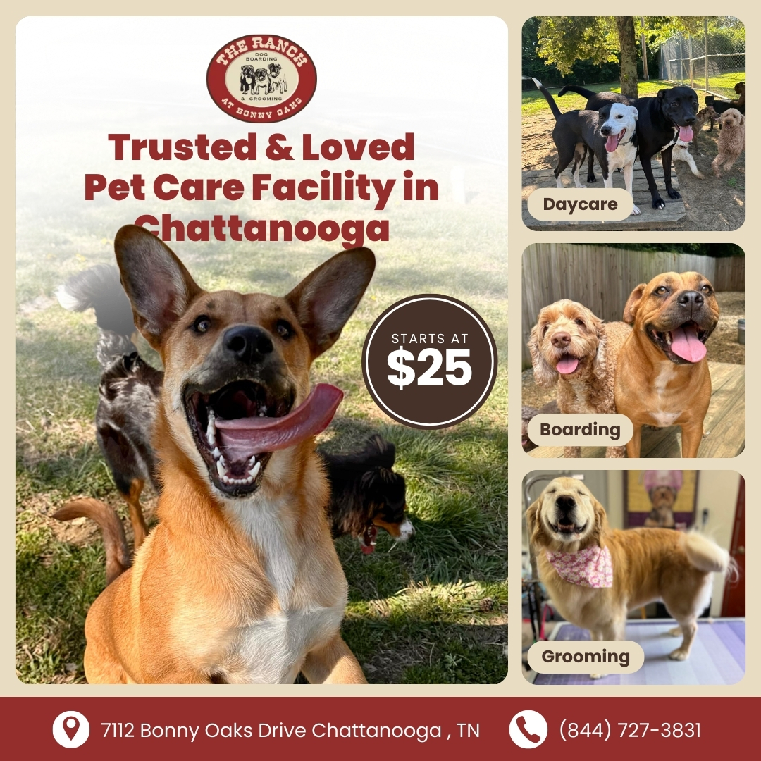 Today's Pet Care Pet Boarding ad creative