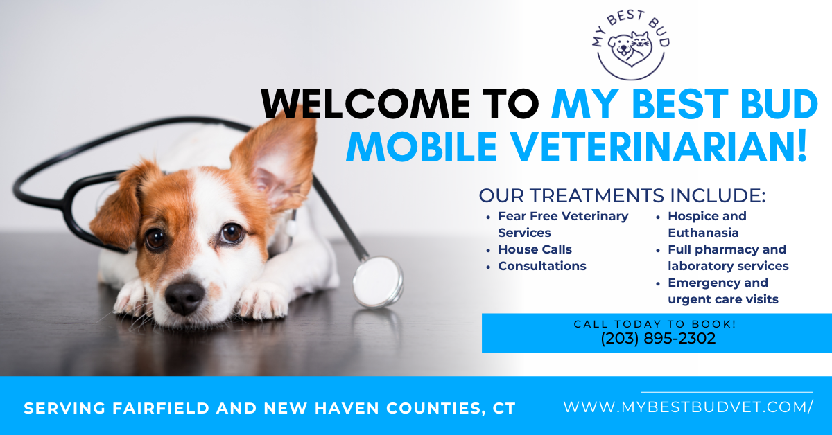 Mobile Pet Care | My Best Bud Vet