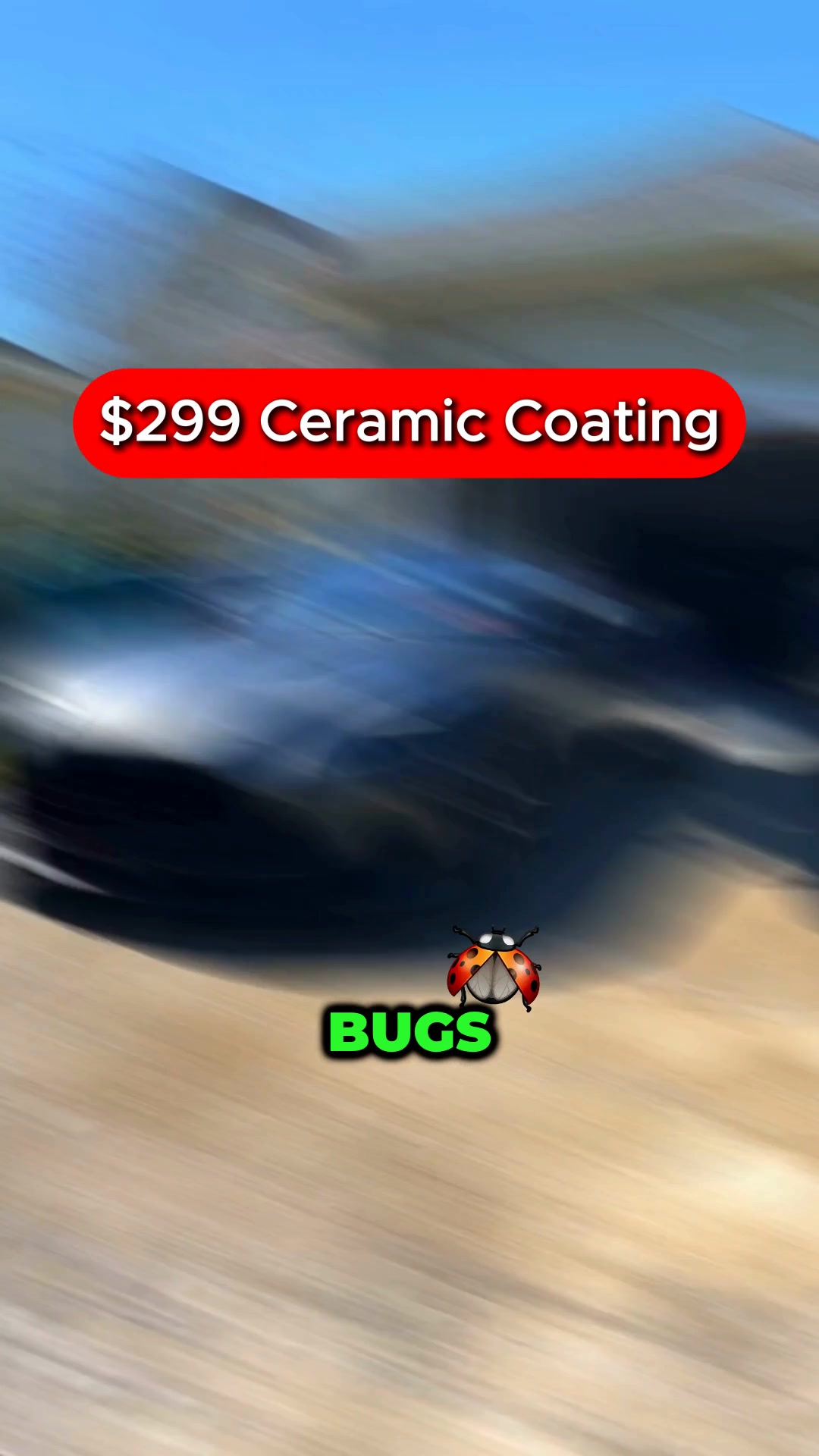 🔥Free Window Coating with Ceramic Coating👉