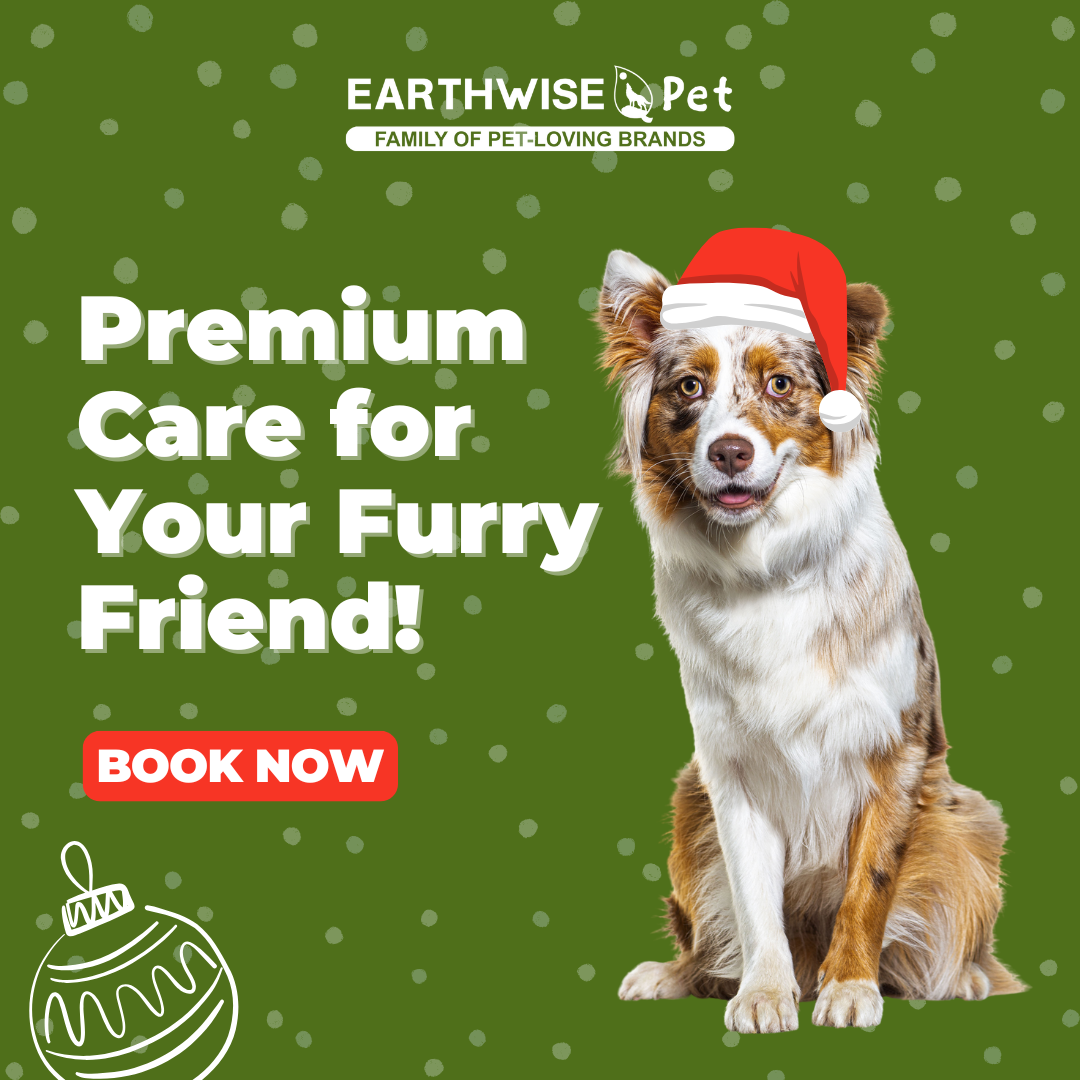 Holiday Grooming for Every Breed