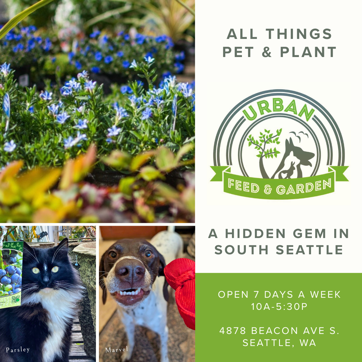 Urban Feed and Garden