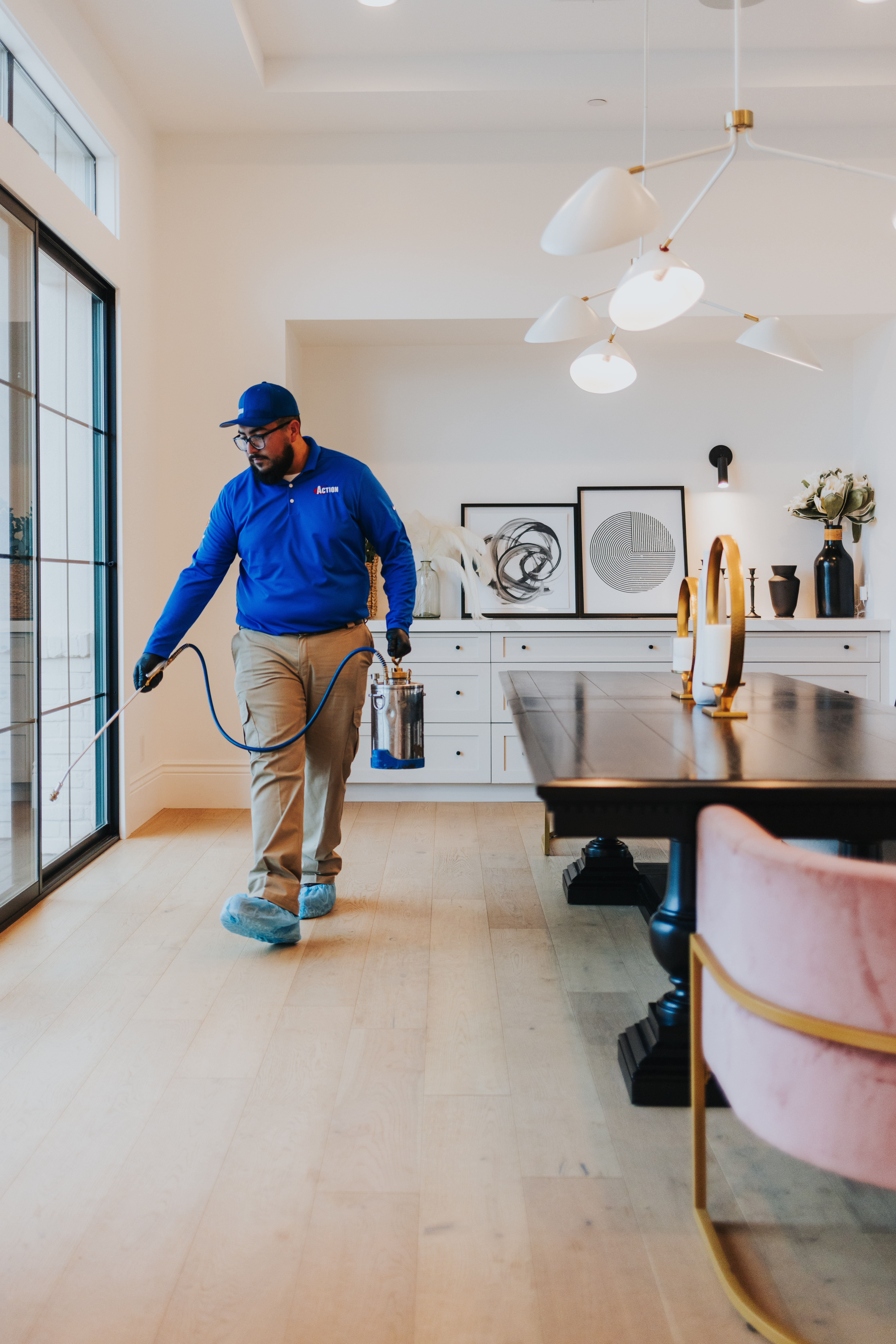 ACTION Termite & Pest Control Pest Control ad creative