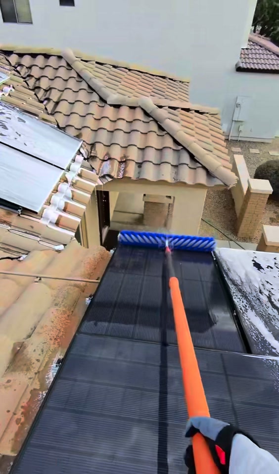 ☀️ Solar Panels Bird-Proofed & Cleaning Done Right! ☀️
