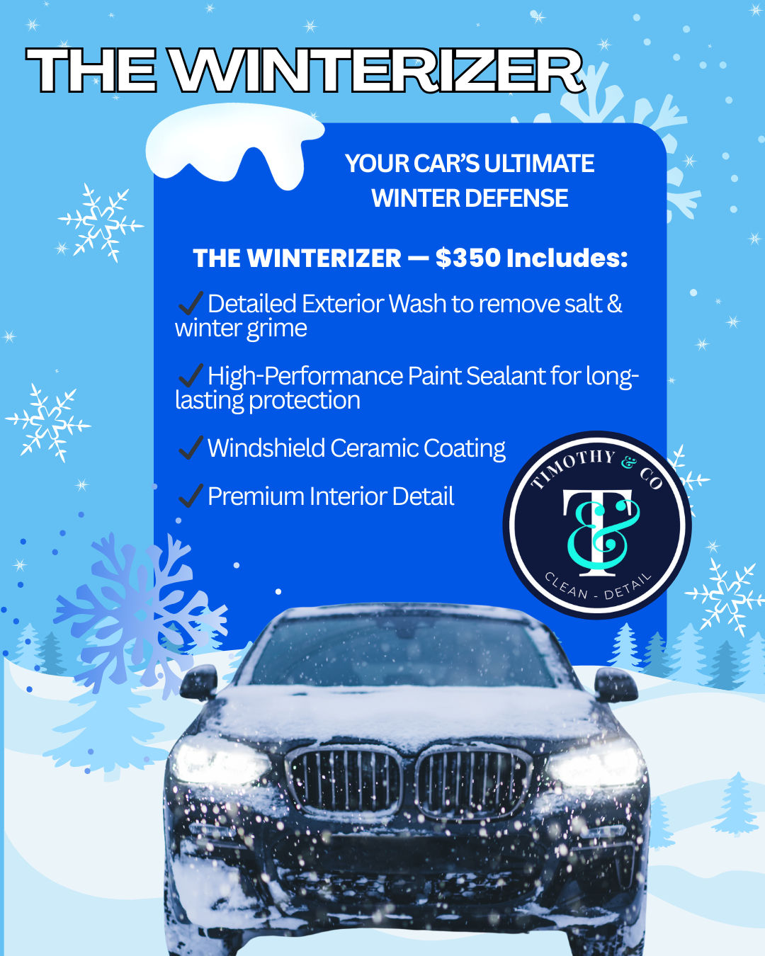 Carpet Cleaning and Auto Detailing | Morris, MN