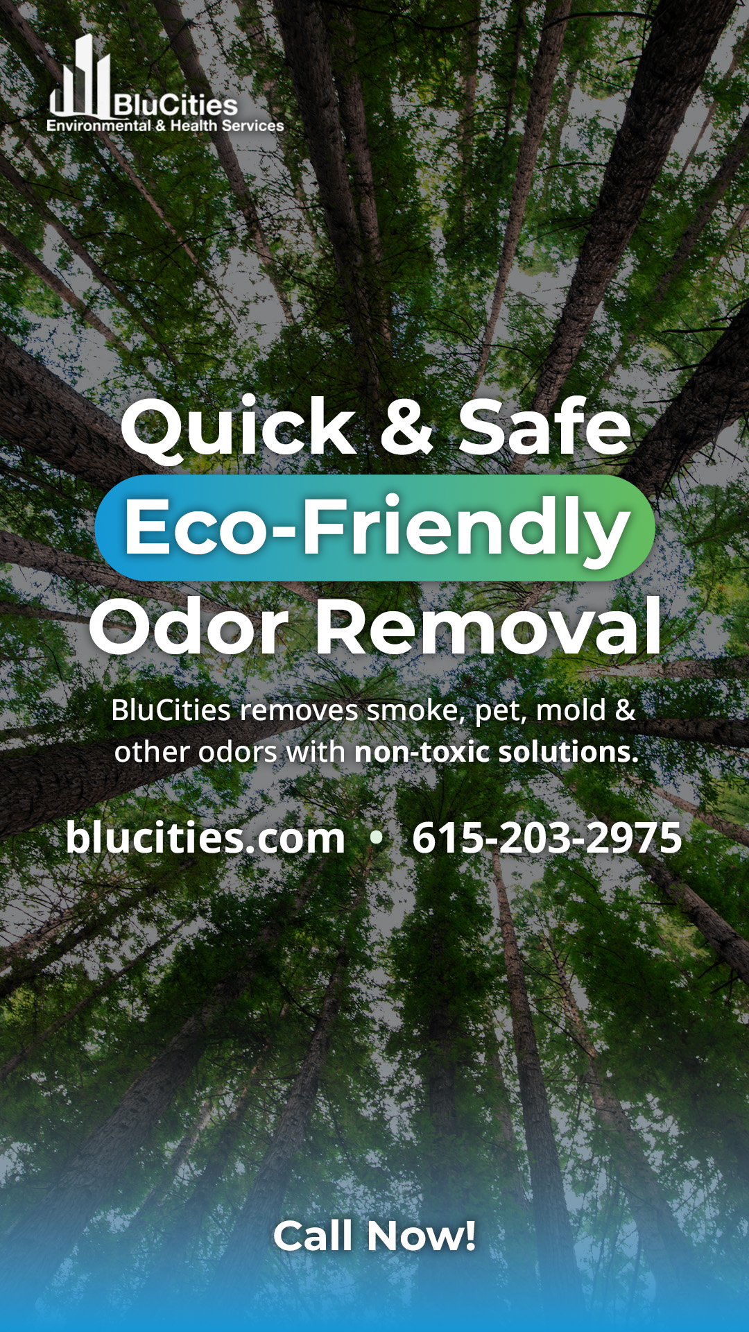 BluCities Environmental & Health Services Water Damage Restoration ad creative