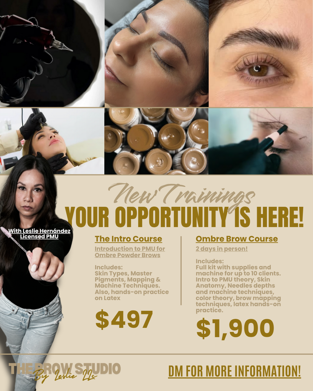 Become a PMU Artist: $350 OFF!