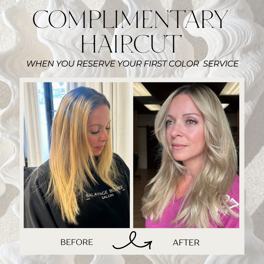 Balayage Blonde Salon Hair Salon ad creative