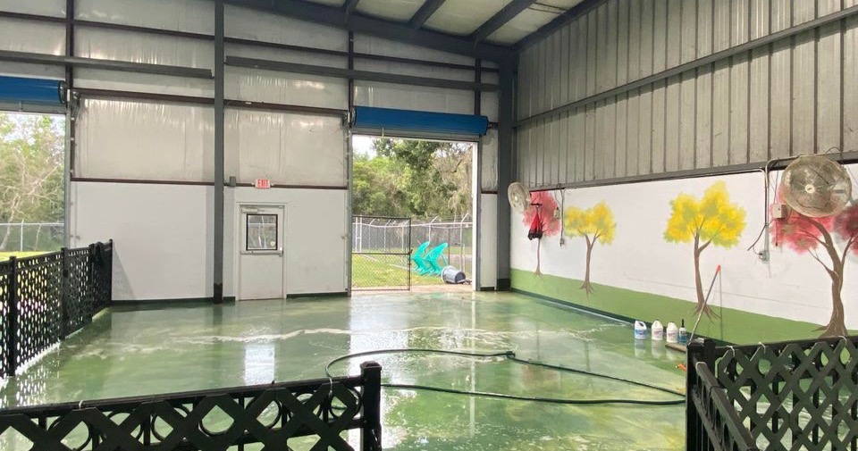 Classy Canines Pet Resort Pet Boarding ad creative