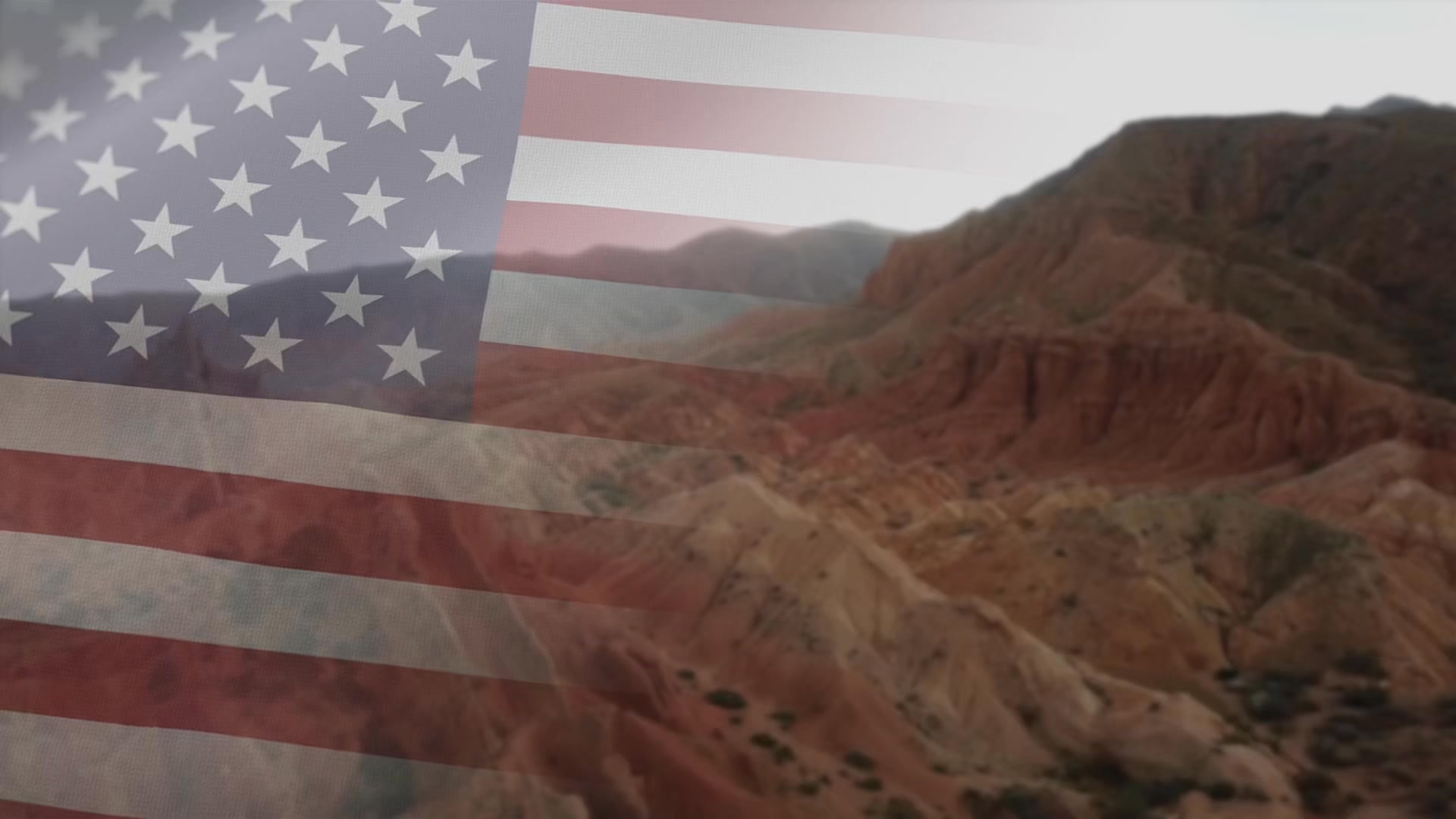 Clean Up Your Books. Grow With Confidence.