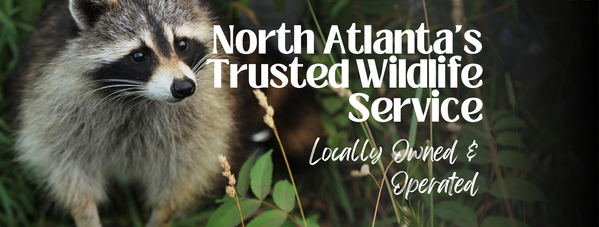 Grade A Critter Pest Control ad creative