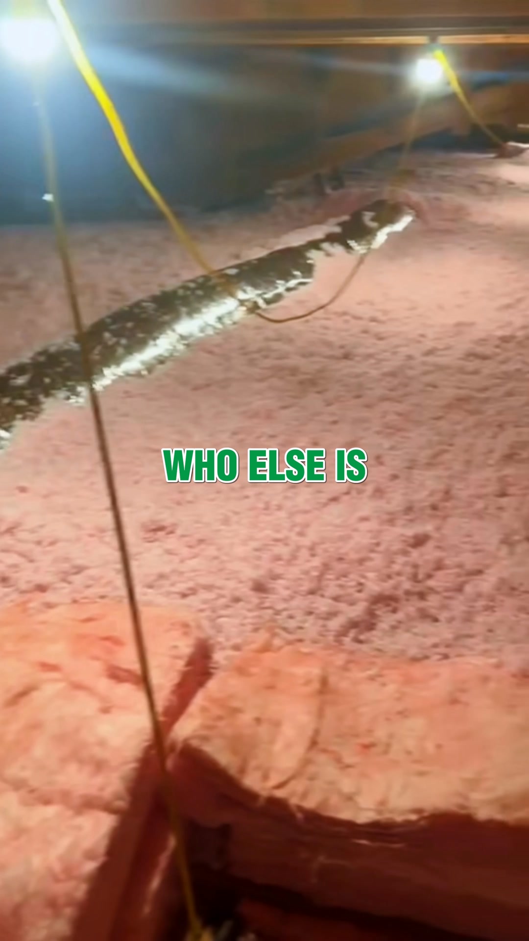 Get 15% off on any insulation upgrade! 🏡🚀