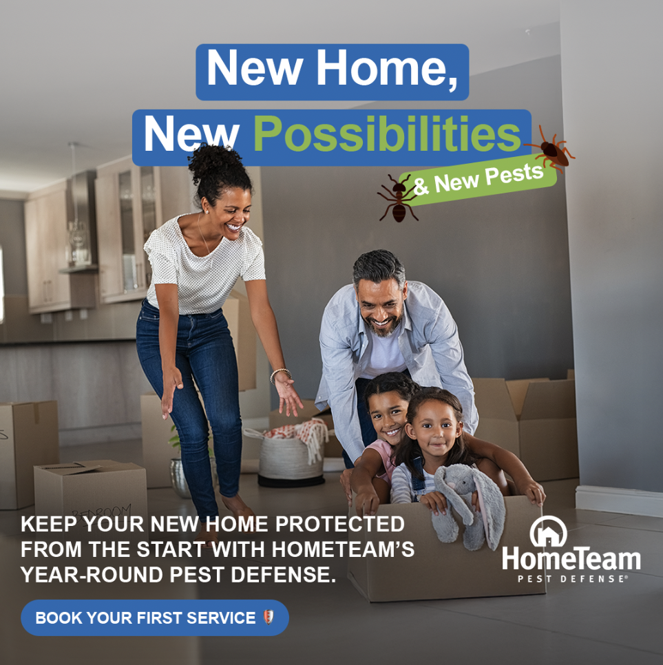 Protect Your New Beginning