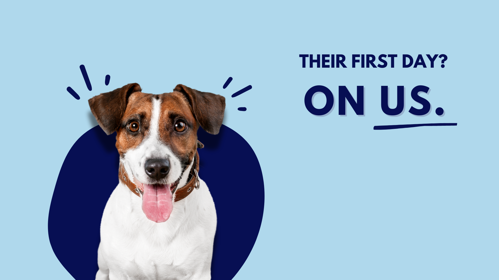 📞 Call to Book Their Free Day 🎉