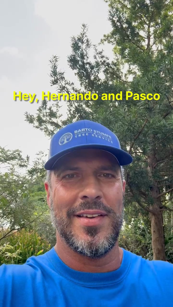 Complete Tree Removal Program – Fast, Free Estimates