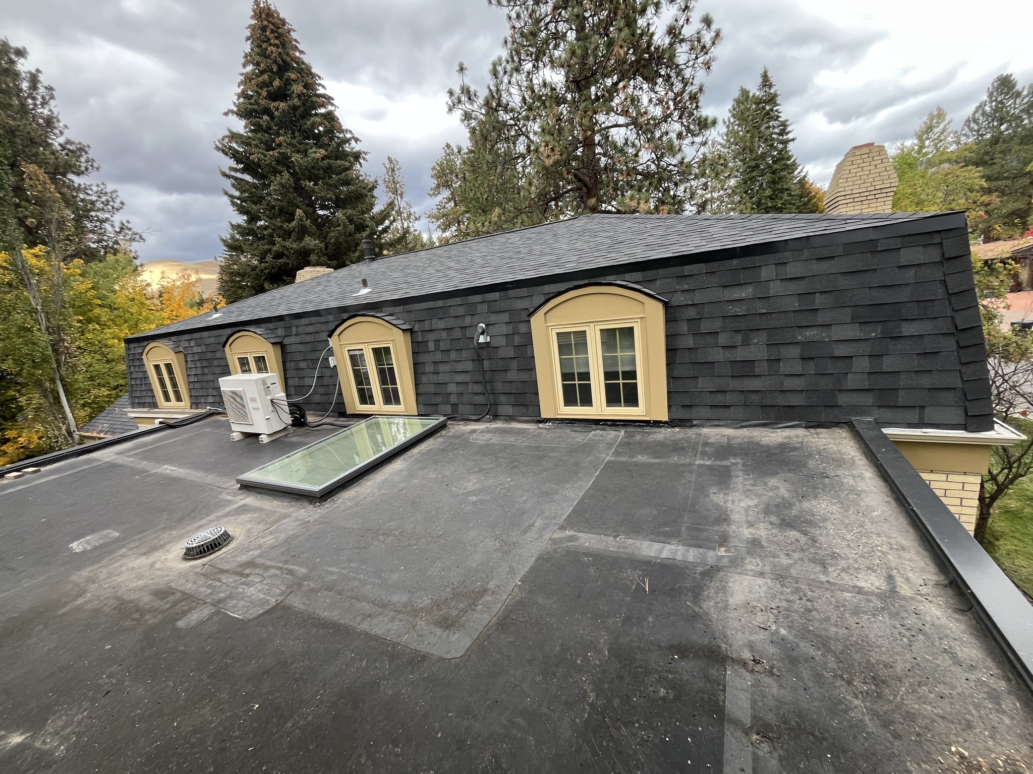 Birch Roofing Roofing ad creative