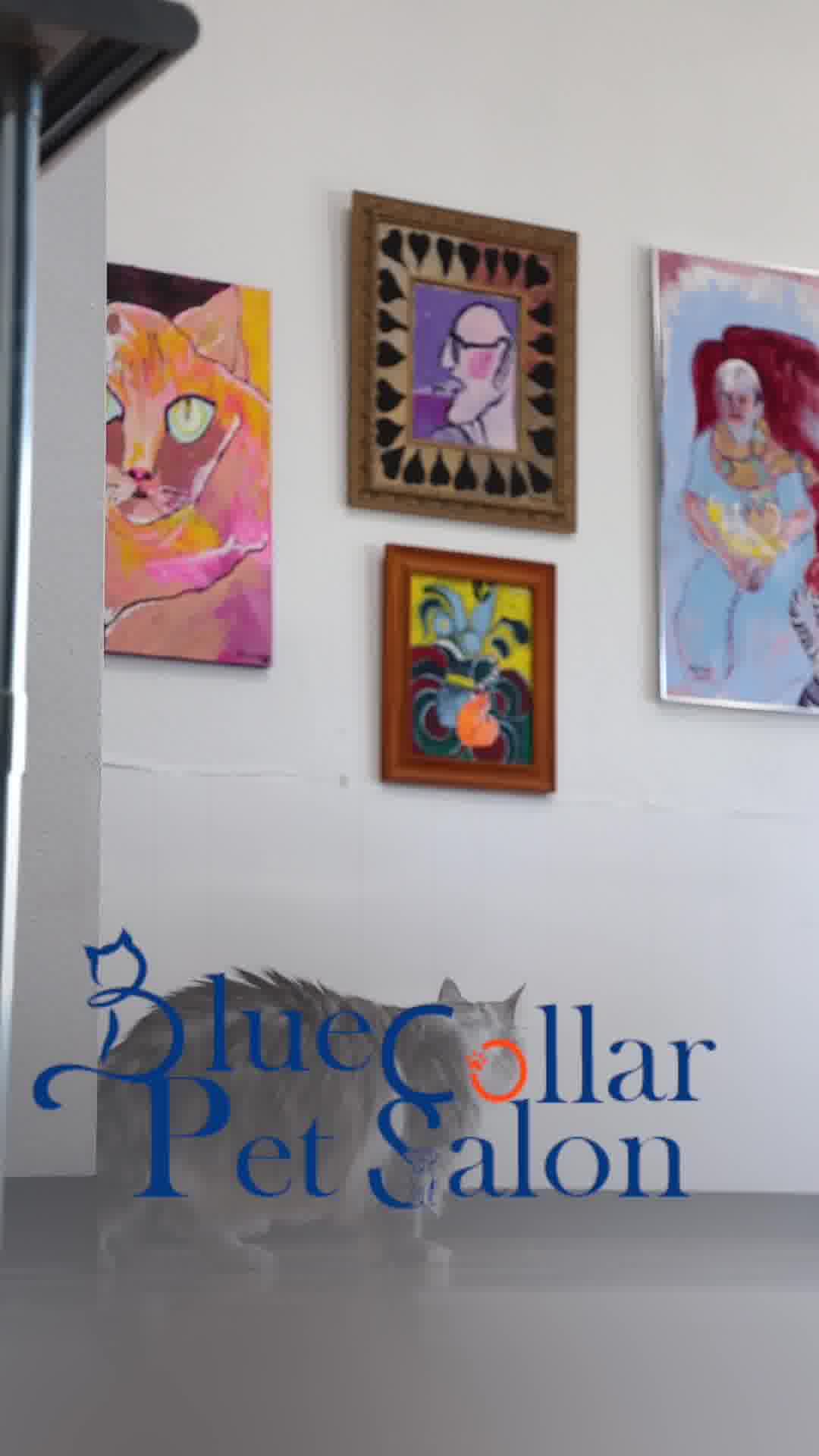 Now Accepting New Clients!