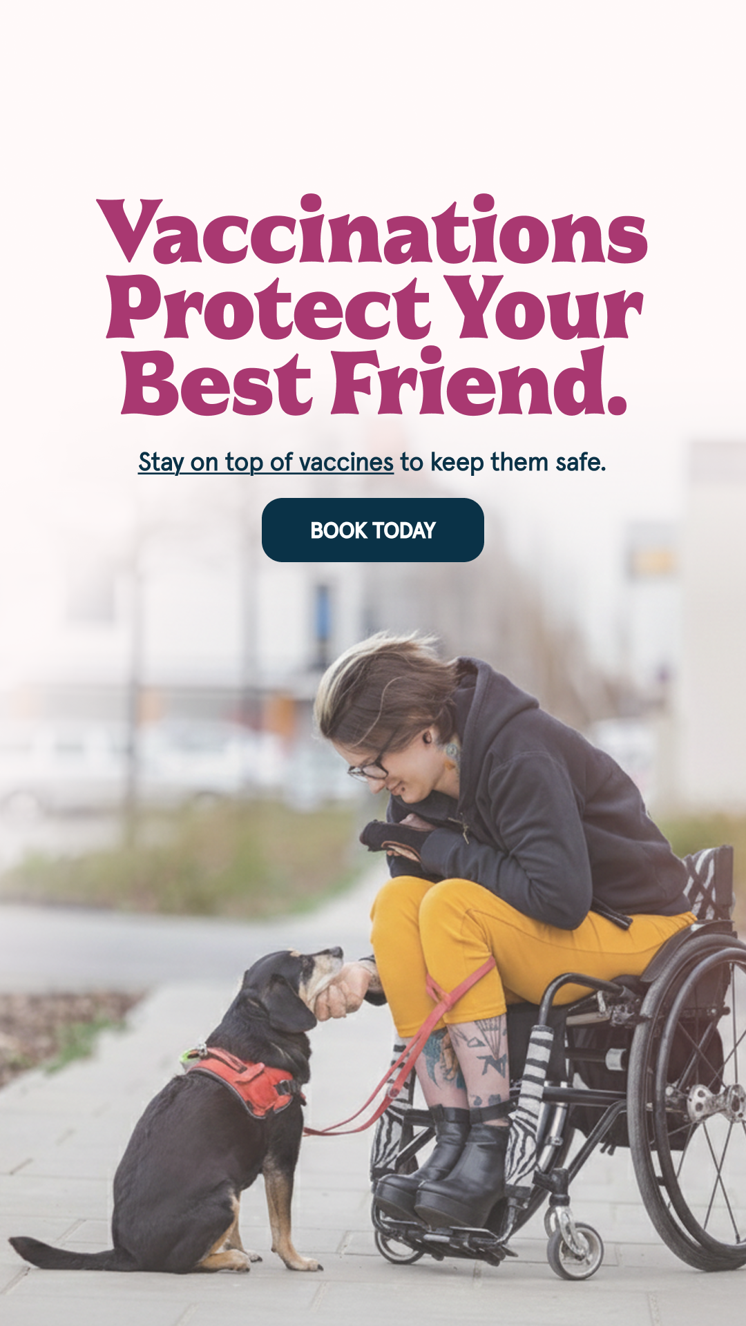 Is Your Pet Protected? 